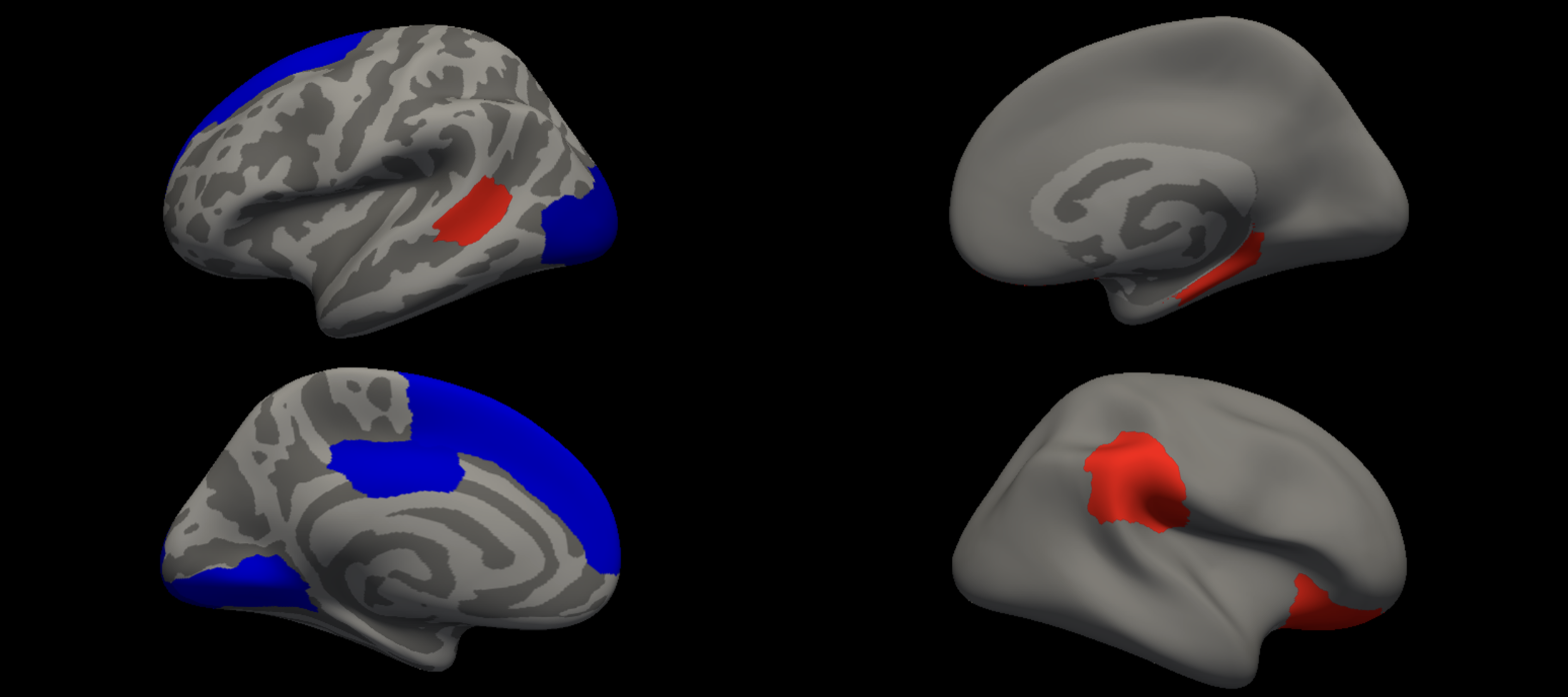 Structure–Function Tradeoffs thumbnail (optional)